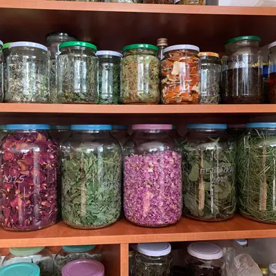 Vakuovačka na bylinky