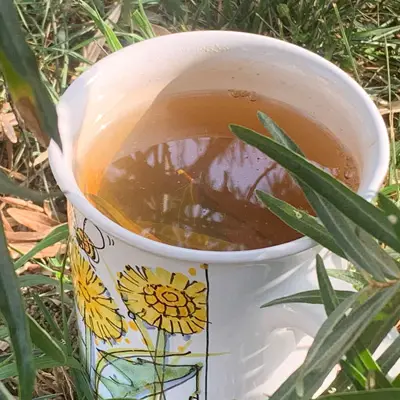 Denní čaj z rakytníku