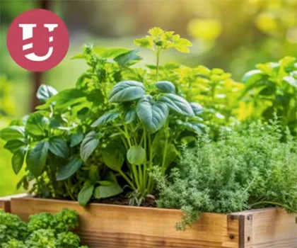 Byliny s námi byly od počátku lidstva