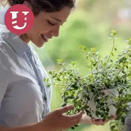 ostliny komunikují a reagují na naše emoce, věda potvrzuje to, co naši předci dávno věděli